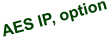 AES IP, option